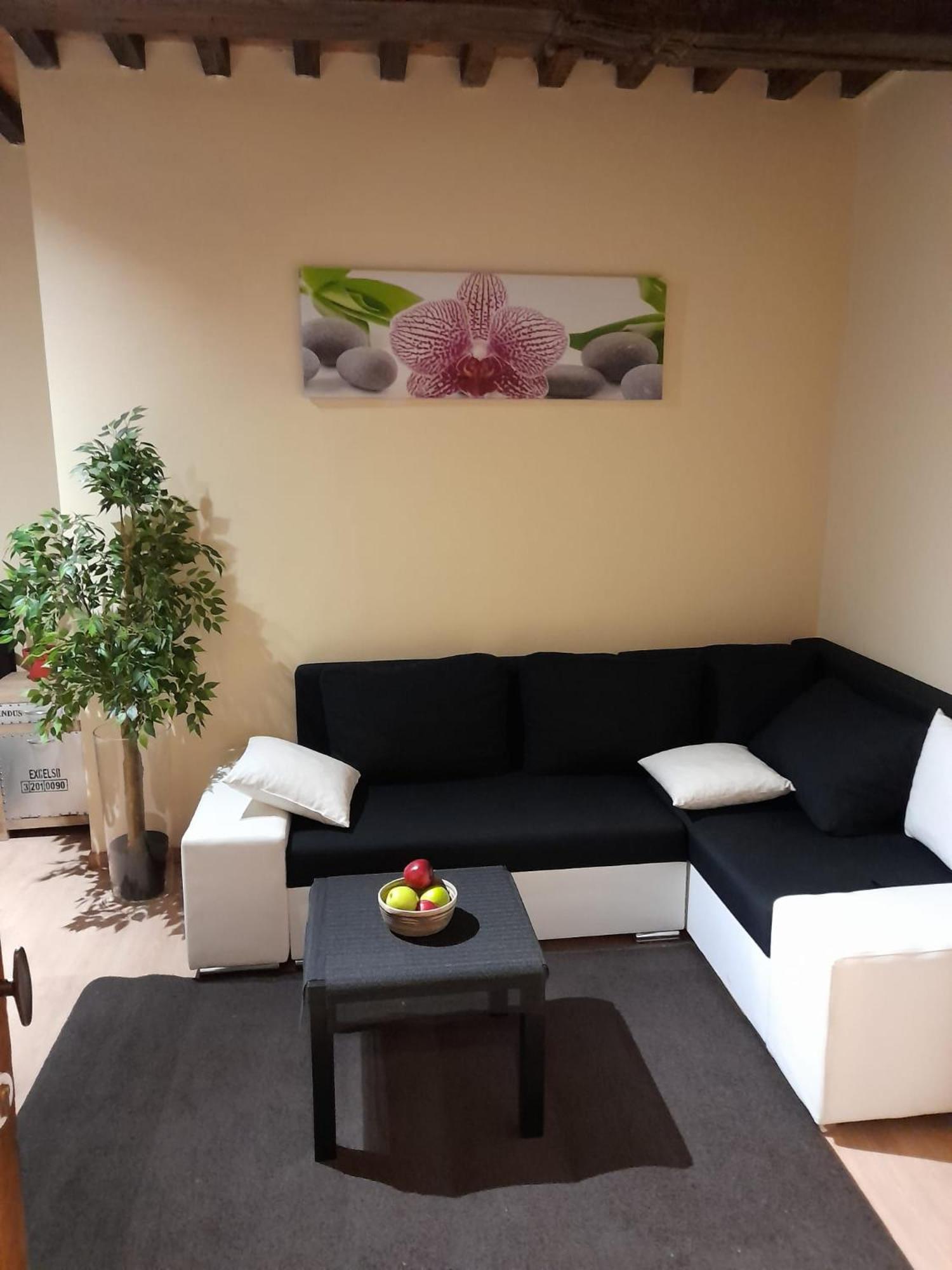 Апартаменты Cute,Cosy,Comfortable Studio In The Heart Of Antwerpen Экстерьер фото